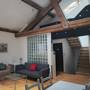  Séjour chez l'habitant Loft Viarhona, Grand Loft En Centre-ville